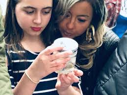 Sydney Duran's Instagram, Twitter & Facebook