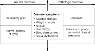 They reflect common reactions people have as they try to make sense of a loss. Identifying And Managing Preparatory Grief And Depression At The End Of Life American Family Physician