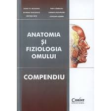 Compendiu clasa a 5 a. Compendiu De Anatomie Cartonat Editia 2014 Cezar Th Niculescu B Voiculescu C Nita R Carmaciu C Salavastru C Ciornei Emag Ro