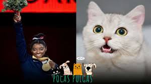Aug 13, 2021 · todos los artículos y noticias escritas por el país y publicadas en el país. Conoce Al Gato Fanatico De Simone Biles La Gimnasta Numero Uno Del Mundo Tn