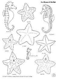 Laminas De La Playa Y Animales Del Mar Para Pintar Ocean Quilt Clip Art Crafts