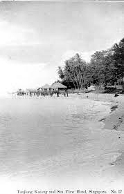 1906 Sea View Hotel At Tanjong Katong Singapore Smhig History Of Singapore Singapore Photos Singapore