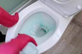 We did not find results for: How To Properly Clean A Toilet