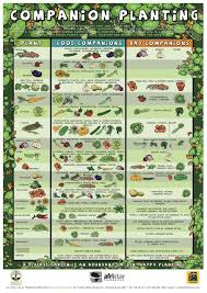 Maybe you would like to learn more about one of these? Companion Planting Chart Growin Crazy Acres