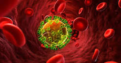 Resultado de imagen para "Reduzca su riesgo frente a la causa número 1 de muerte en las mujeres"