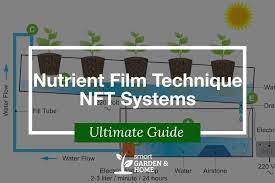 Nutrient Film Technique Nft Systems Complete Guide Smart Garden Home