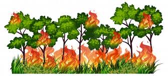 Un espectacular incendio destruyó en la madrugada del viernes 165 hectáreas de vegetación en un parque en pleno centro de anglet, en el suroeste de francia. Imagenes De Incendios Forestales Vectores Fotos De Stock Y Psd Gratuitos