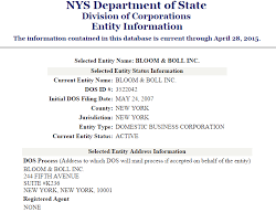 New York Business Entity Search Corporation Llc