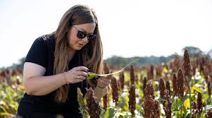 OSU's Integrated Pest Management Legacy Lives