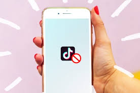 The Best Ways To Remove Tiktok Watermark Of 2020