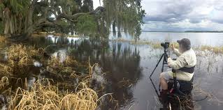 Check spelling or type a new query. Clyde Butcher S Myakka River A Florida Treasure Captures Real Florida Beauty Arts And Entertainment Your Observer