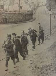 Check out our website today! Timeline 1900 Todate Historical Stillorgan