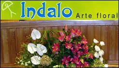 Maybe you would like to learn more about one of these? Floristeria Indalo Floristerias En Logrono