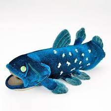 Pin On The Life Aquatic