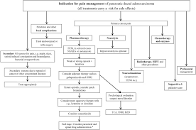 Author & illustrator pronunciation guide (2,982). Pain In Pancreatic Ductal Adenocarcinoma A Multidisciplinary International Guideline For Optimized Management Sciencedirect