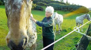 Appaloosa started out making me feel the same as i did during the opening chapters of larry the film has been directed by ed harris and bears absolutely no similarity, as you might have anticipated. New Film Explores Theory Around Ancient Origins Of The Appaloosa Horse Horsetalk Co Nz