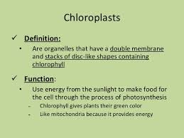 Maybe you would like to learn more about one of these? Aug 24 Plant Vs Animal Cells