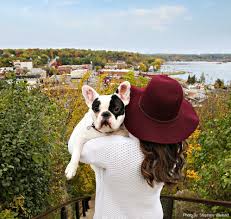 There are no approved quotes yet for this movie. 10 Reasons To Visit Stillwater Mn In The Fall Discover Stillwater