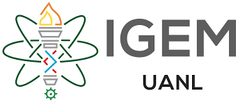 Leí un comentario donde decía una chica entonces yo me voy a sentir excluida por los concursos de inteligencia si no soy inteligente. Team Uanl 2019 Igem Org