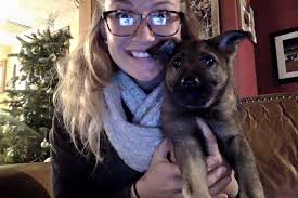 P litter vom Rheinland are 8 weeks old