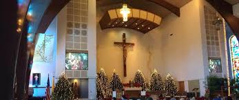 We did not find results for: Live Animals At Christmas Eve Mass Parish Catalyst
