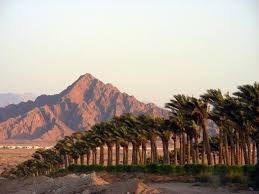 9 Mountains Egypt Ideas Egypt Mountains Sharm El Sheikh