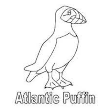 Atlantic Puffin Coloring Page Coloring Pages Bird Coloring Pages Flamingo Coloring Page