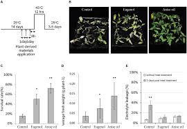 Maybe you would like to learn more about one of these? Frontiers Priming Of Plant Resistance To Heat Stress And Tomato Yellow Leaf Curl Thailand Virus With Plant Derived Materials Plant Science