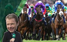 Who is running in the martin pipe handicap hurdle. Lk1iu H0uusu4m