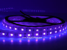 390 395nm Ultraviolet 5050 Led Strip Blacklight Strip 60 M 5m