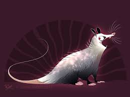 Opossum Style Opossum Awesome Possum Animal Sketches