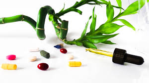 Troscotul este cunoscut pentru calităţile sale terapeutice din vremuri îndepărtate, ceaiul din această plantă fiind benefic în tratarea a numeroase afecţiuni. Alternativele Mai Ieftine Ale Medicamentului Tau