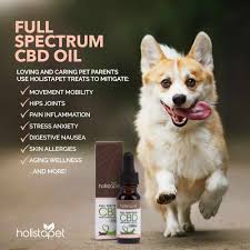 Pet releaf offers cbd tinctures, edibles, and topical products. Holistapet Cbd Oil Treats Review Our Dog S Results Experience Canine Bible
