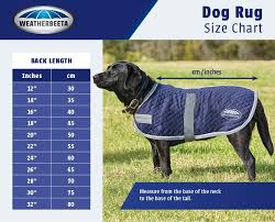 Dog Coat Buying Guide