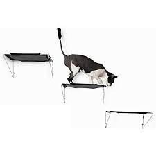 We did not find results for: Amazon Com Raycc Cat Shelves Cat Steps Cat Perch Cat Cloud Cat Bed Wall Mounted Cat Furniture Great For Cat Climbing Set Of 3 Pet Supplies