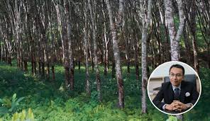 Maluku tanah pusaka wordt gezongen en gespeeld door alex pattipeiluhu en peter lengams. Elak Gaduh Adik Beradik Tentang Pembahagian Tanah Pusaka Banyak Nama Dengan Ikut Cara Peguam Ini Maskulin