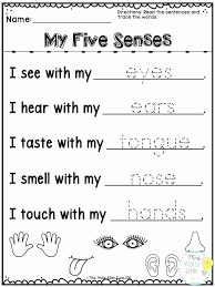 5 Senses Worksheets Kindergarten Worksheets For Kindergarten Kids Addition Preschool In 2020 Senses Preschool English Activities For Kids English Lessons For Kids