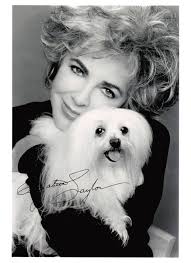 Raintree County Memories