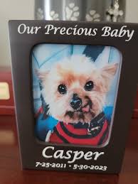 Casper always full of life 💚🦜💚