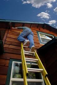 Great selection of ladder toss backyard. Painting Your House Exterior Safely Using Ladders Dengarden