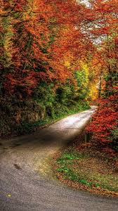 Pin By Afshanaziz On Fall Wallpaper Beautiful Nature Wallpaper Hd Android Wallpaper Nature Nature Wallpaper