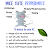 How To Get Rid Of Mice Without Traps
