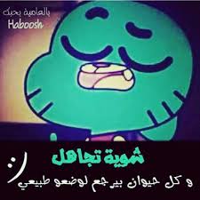 خلفيات اقوال غامبول داروين hd. Ø¯Ø§Ø±ÙˆÙŠÙ† ÙˆØºØ§Ù…Ø¨ÙˆÙ„ Ù…Ù†Ø¨Ø¹ Ø§Ù„ÙØ³Ø§Ø¯ Ø§Ù‚ÙˆØ§Ù„ ØºØ§Ù…Ø¨ÙˆÙ„ Wattpad