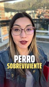 Teo, el perrito que sobrevivió a la tragedia de Chocó