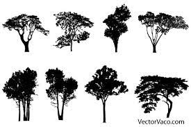 Free Tree Silhouette Vectors Silhouette Sketch Silhouette Vector Tree Silhouette