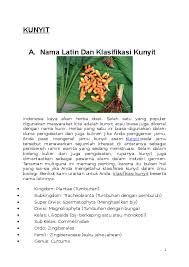 Seseorang yang memiliki sistem kekebalan tubuh rendah maka akan dengan mudah terserang penyakit. Doc Tugas Kunyit Mey Mey Academia Edu
