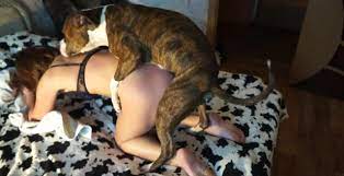 Dog Sex » Mature endures pain in the ass during anal sex with her dog