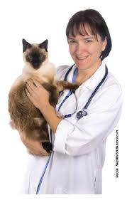 Hyperesthesia is defined as abnormally increased skin sensitivity. Understanding Behavior Feline Hyperesthesia Syndrome Vetfolio