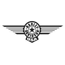 Image result for harley davidson wing