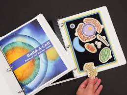 We did not find results for: Build A Cell American Printing House